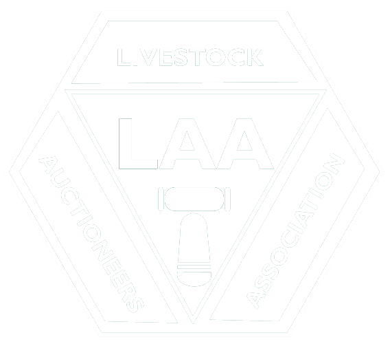 Weekly Dairy Commercial Sale Leek Auctions